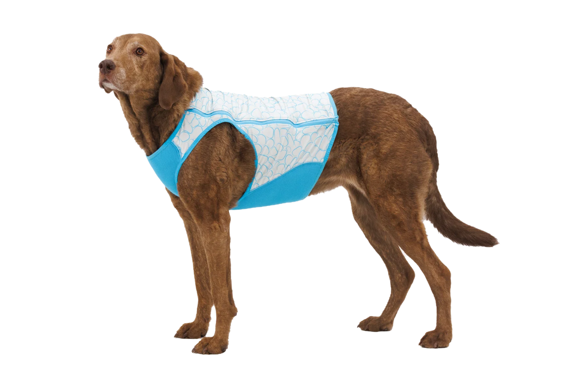 Swamp Cooler Zip™ Cooling Dog Vest